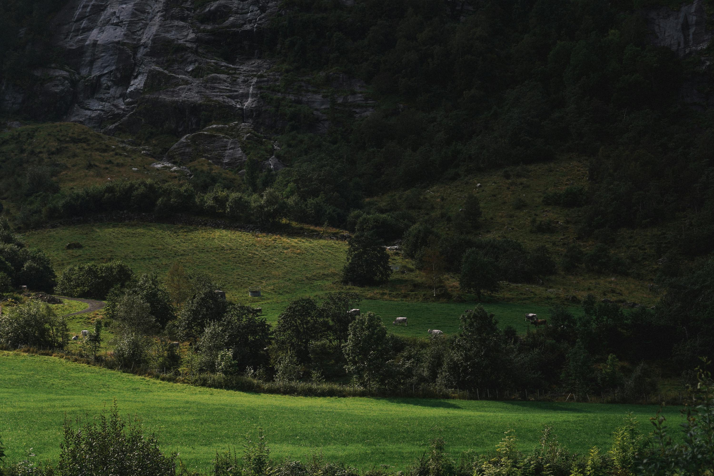 Terrain en pente ou inondable, quelles solutions d'assainissement individuel ?