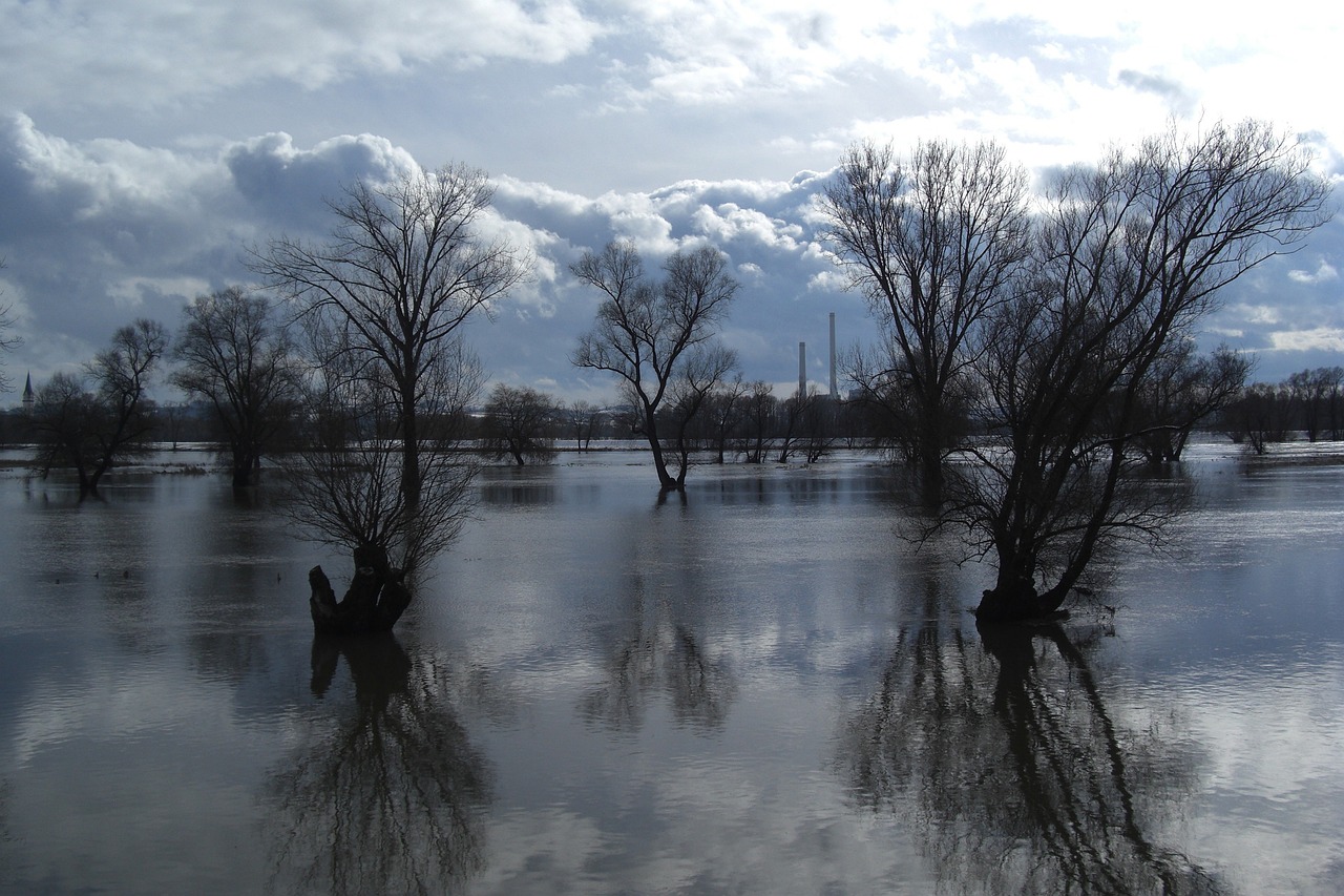 Montée des nappes phréatiques, pluies intenses, sols gorgés d’eau : quels impacts sur votre assainissement individuel ?