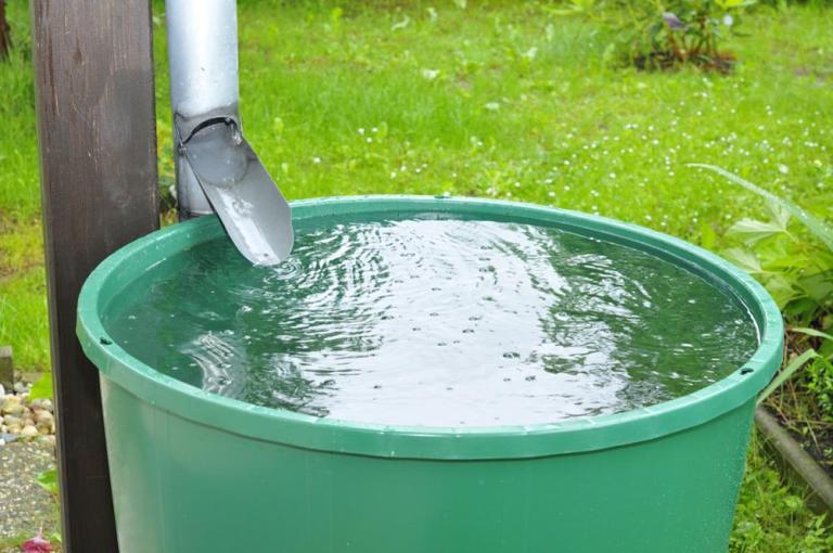 Le récupérateur d'eau, un atout pour l'assainissement à Cesson-Sévigné